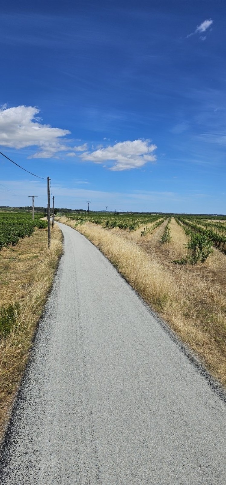 Réfection de voirie avec enrobés rouge à chaud pour promoteur immobilier à Béziers 34500 dans l'Hérault